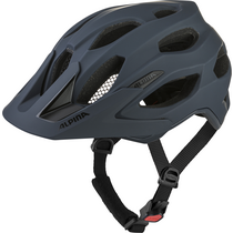 Alpina CARAPAX 2.0 smoke blue matt | 57-62